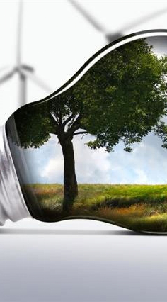 Renewing your Business Energy Contracts