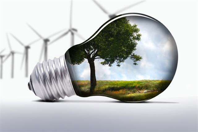 Renewing your Business Energy Contracts